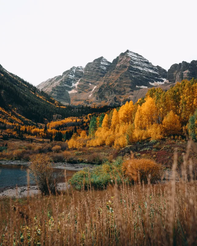 Golden aspens below twin snow-streaked peaks